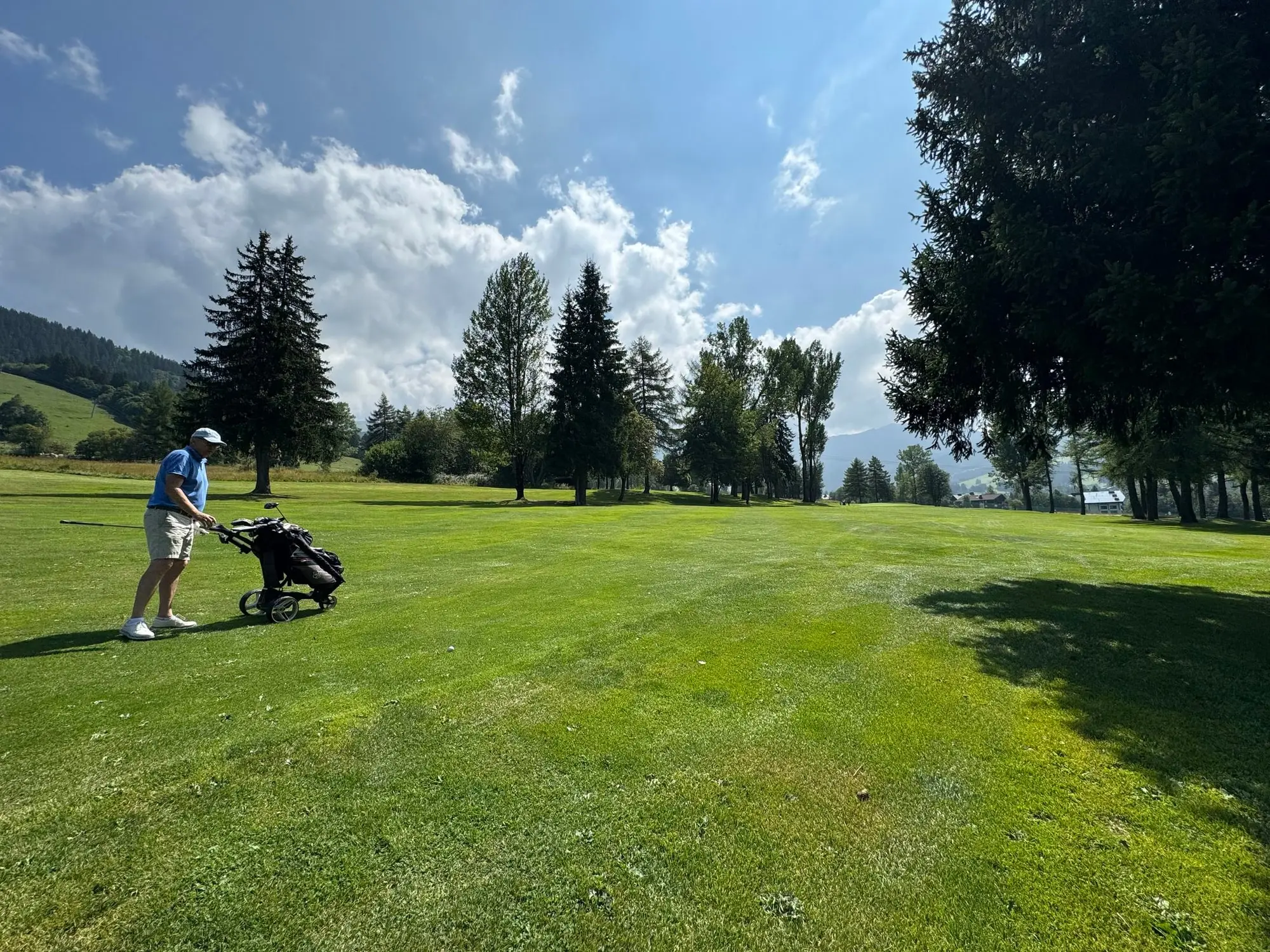 Un golfeur sur le parcours du Mont d'Arbois, sapins et montagnes autour