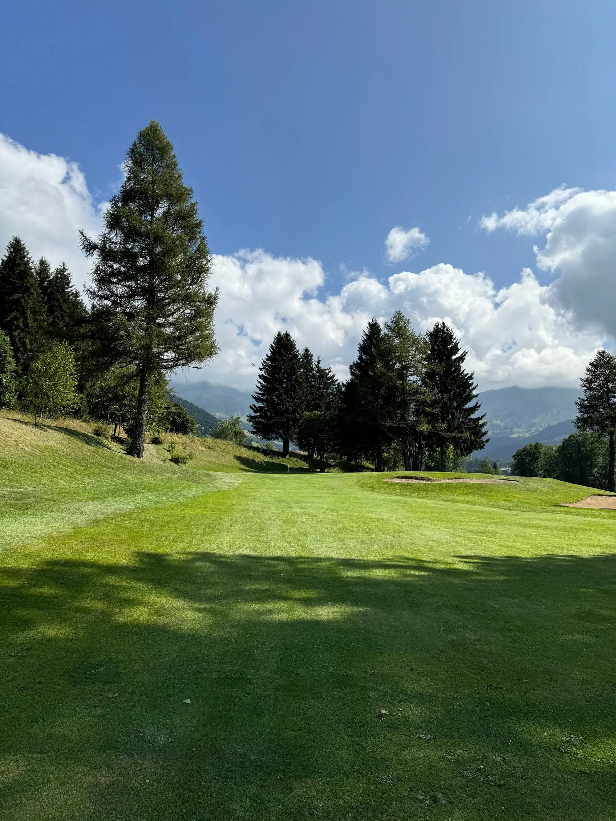 Un fairway du golf du Mont d'Arbois bordé de sapins