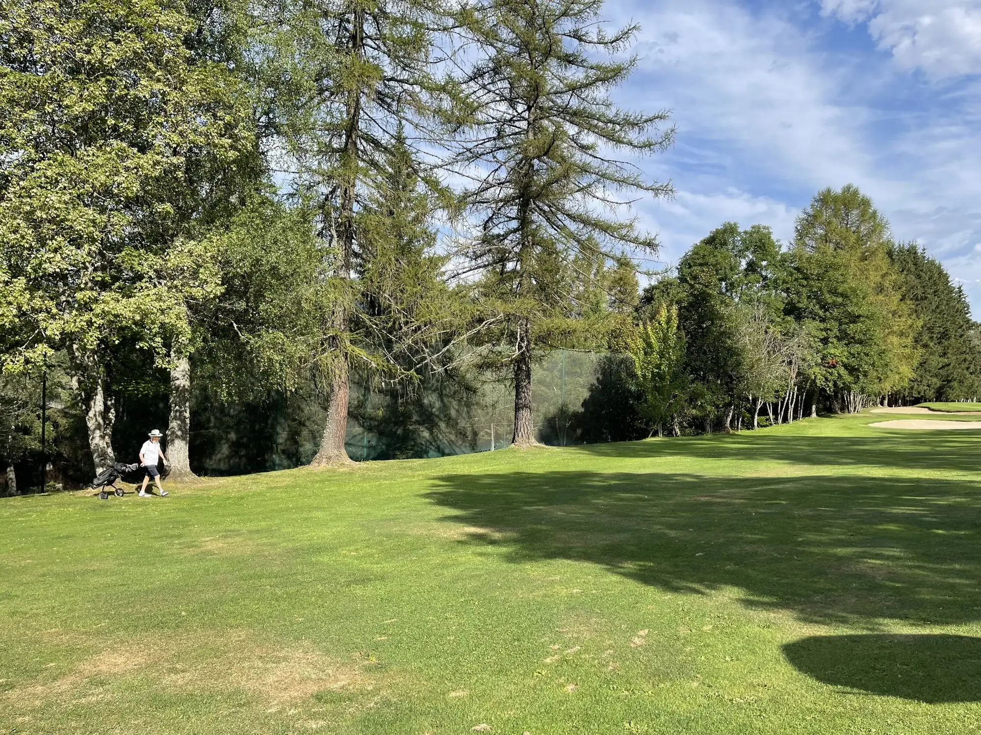Le parcours du golf du Mont d'Arbois entre les mélèzes, en été