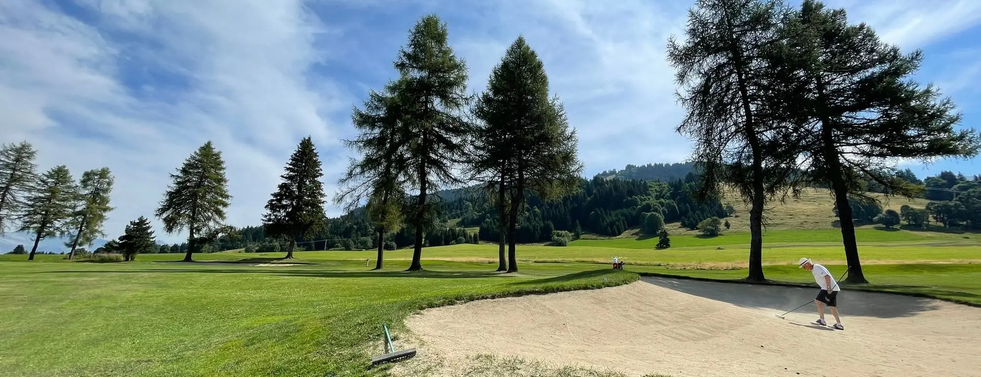 Un bunker et les mélèzes du golf du Mont d'Arbois