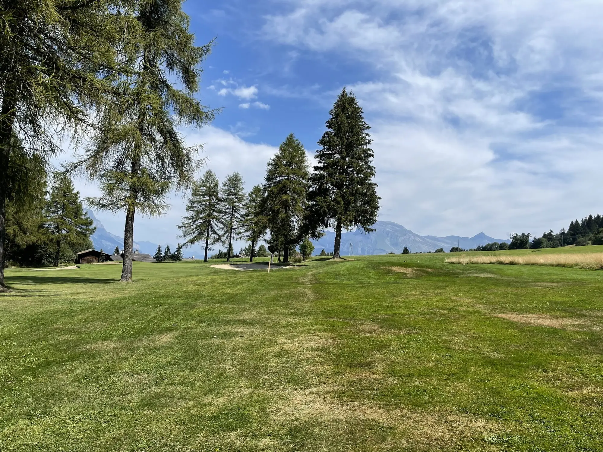 Un fairway du golf du Mont d'Arbois, sapins et montagnes au loin