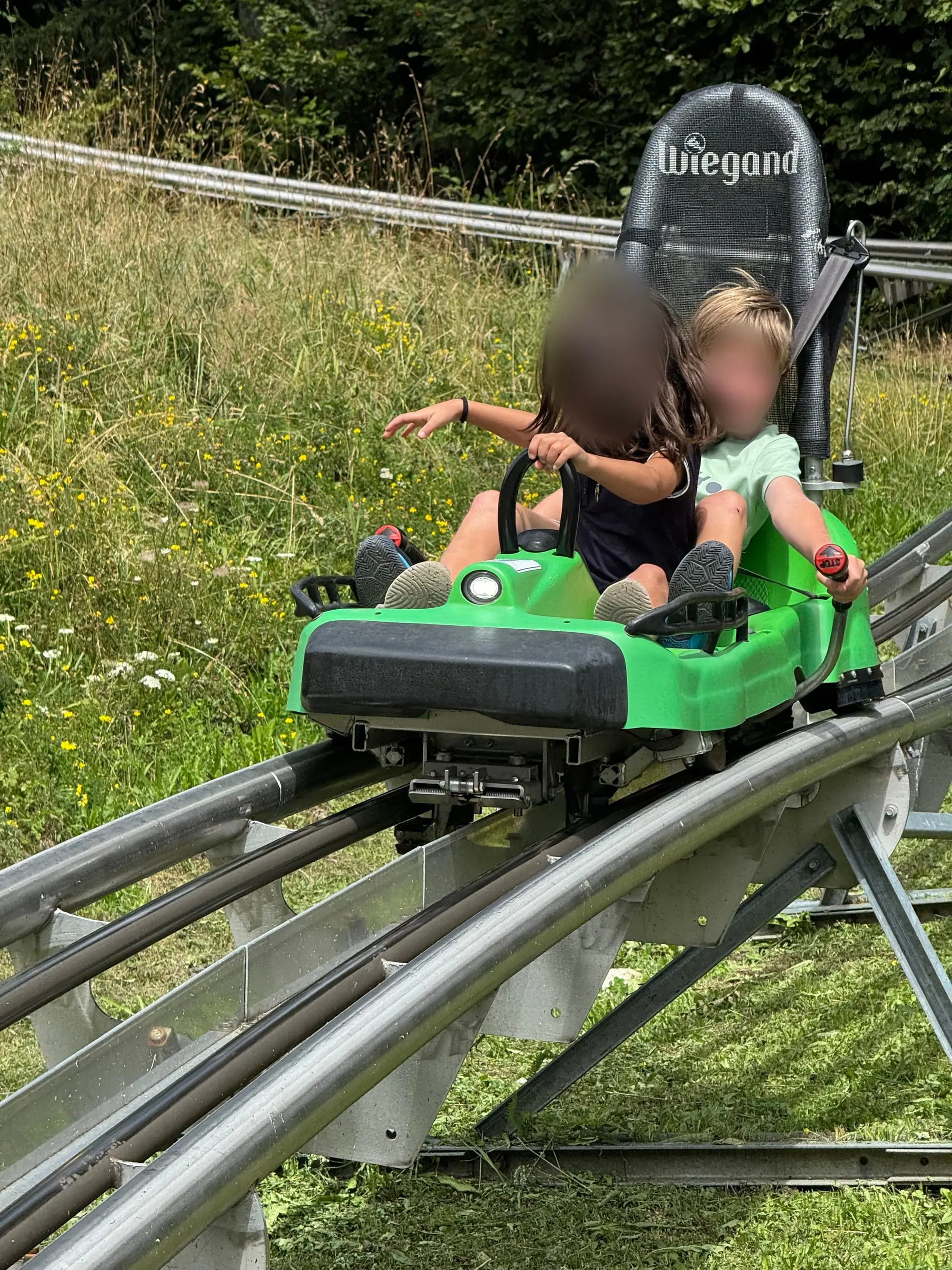 Deux enfants dans la luge d'été