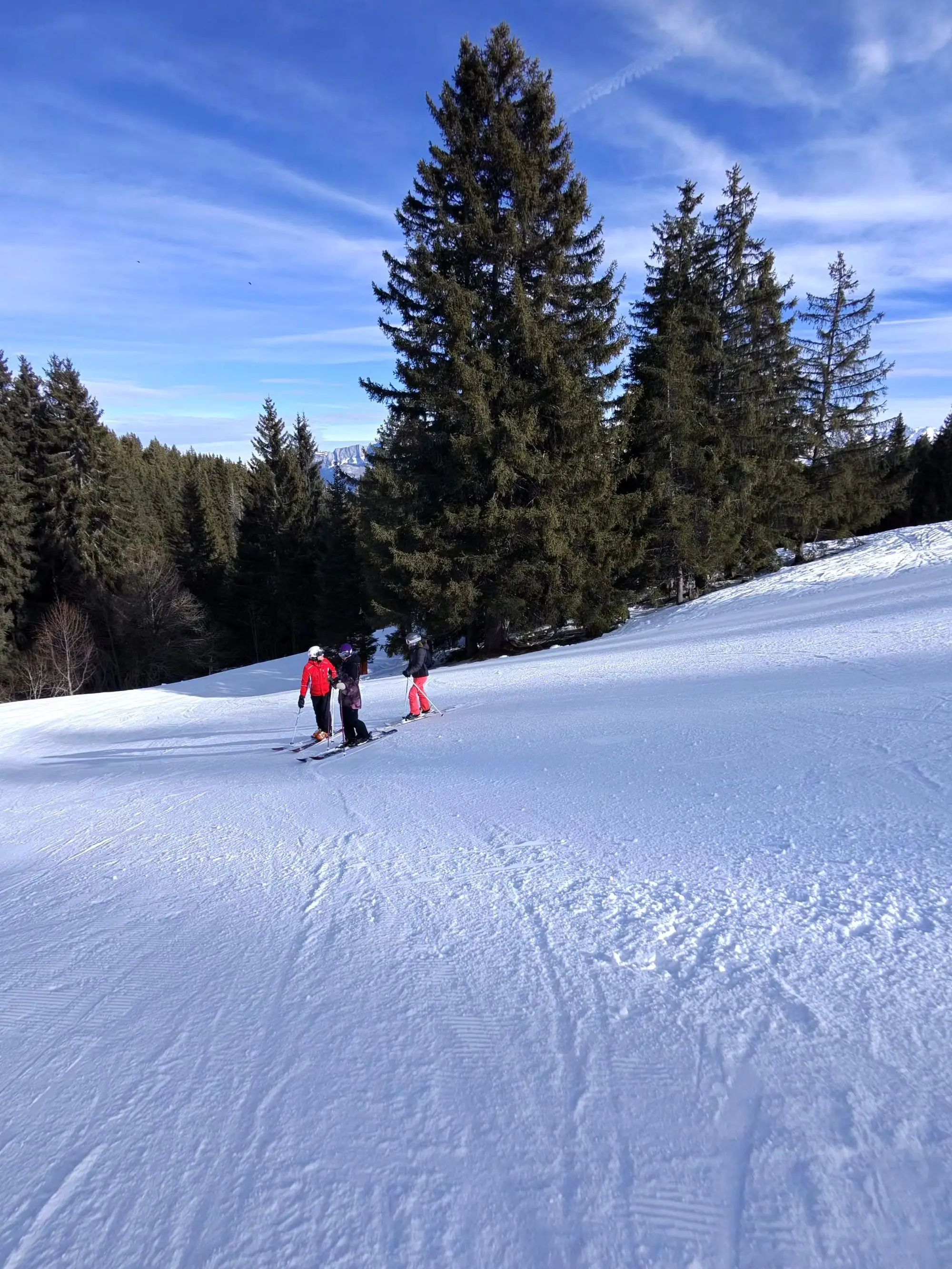 Des skieurs sur une piste bordée de sapins