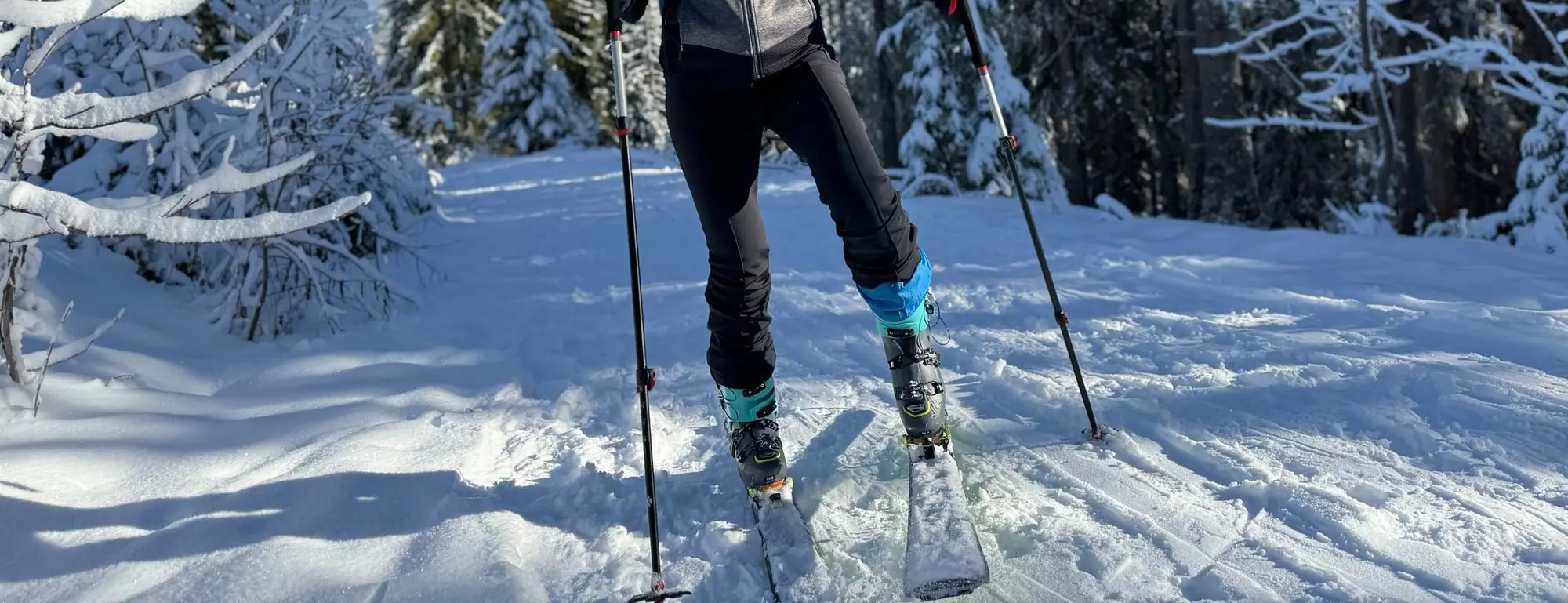 Une skieuse de randonnée dans la forêt enneigée