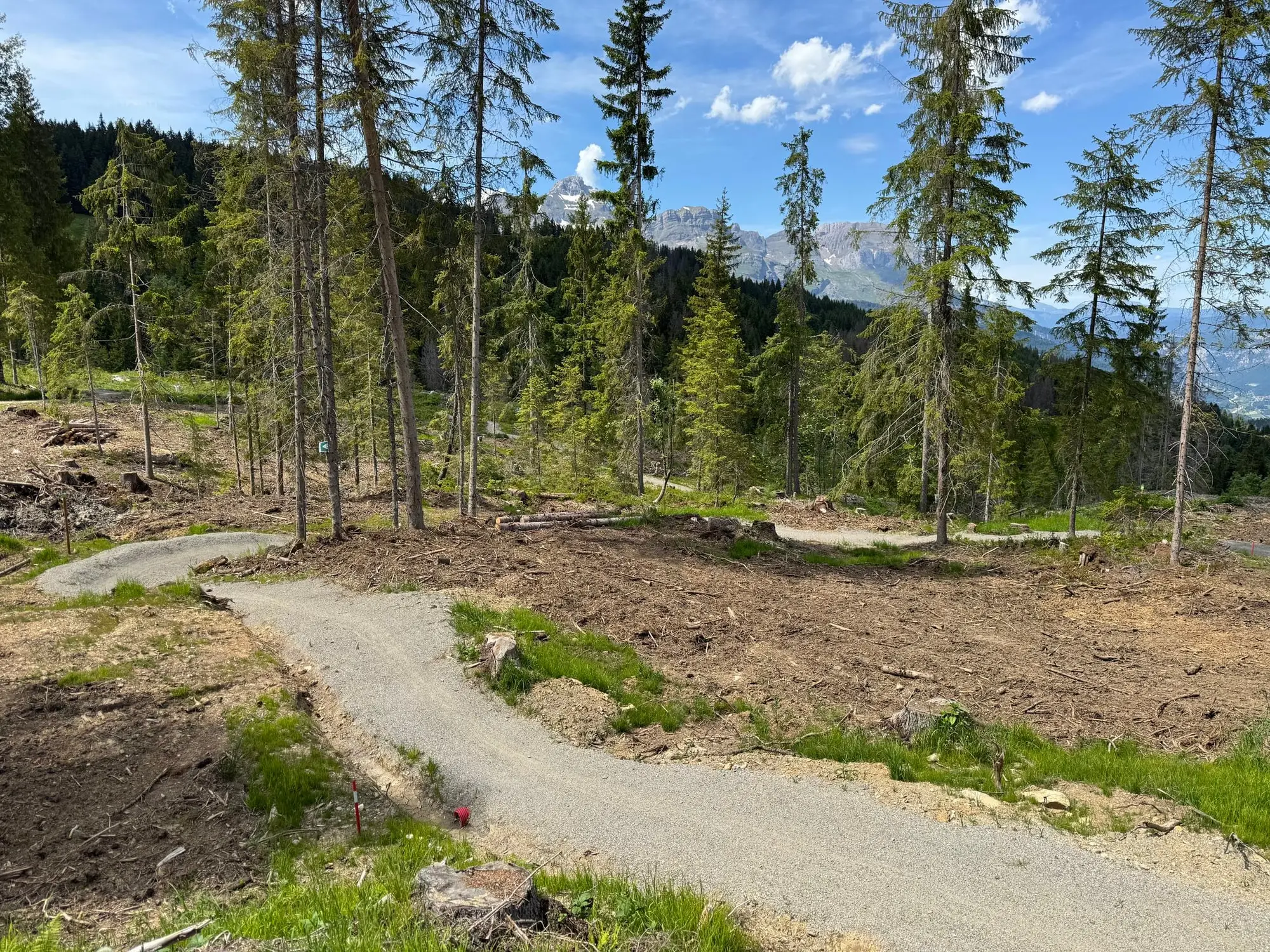 La piste du Mont-Blanc Bike Park, en forêt