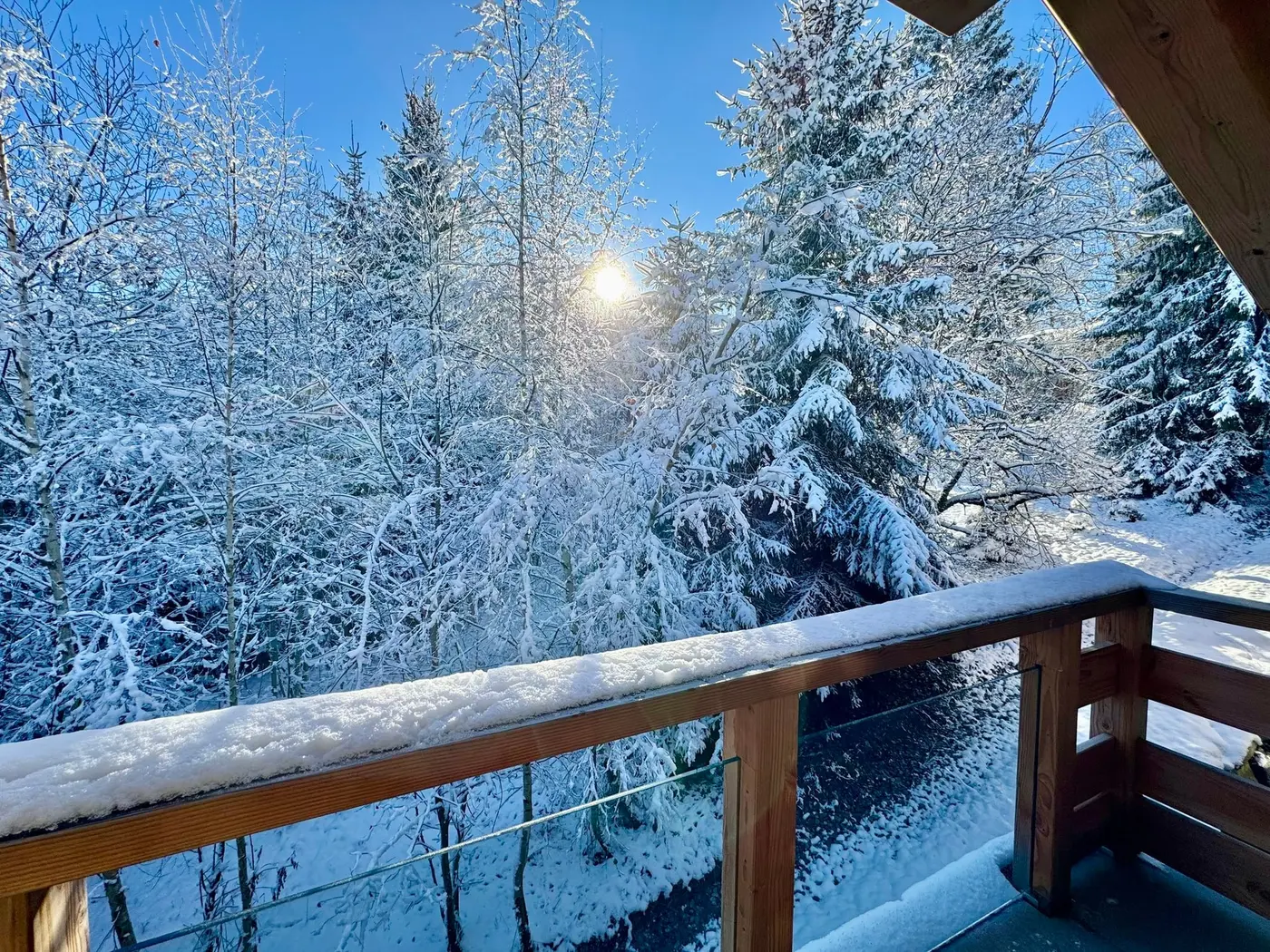 Les sapins enneigés depuis le balcon de la chambre Mont-Blanc