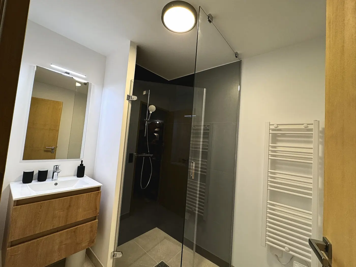La vasque et la cabine de douche de la salle de bain